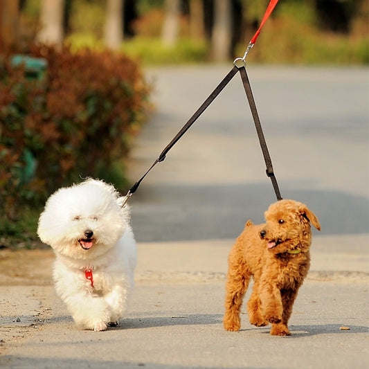 WALK 2 Two DOGS Leash COUPLER Double Twin Lead Walking Leash China - Furry Babiez 